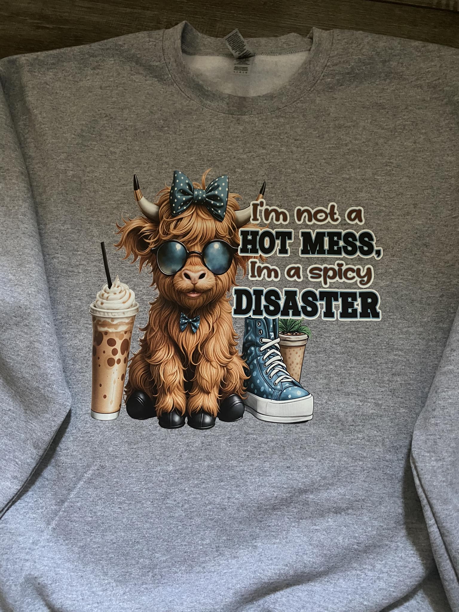 I'm not a hot Mess, I am a Spicy Disaster Sweatshirt