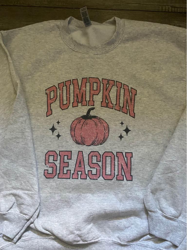 Pumpkin Season Varsity Pink Design Sweatshirt