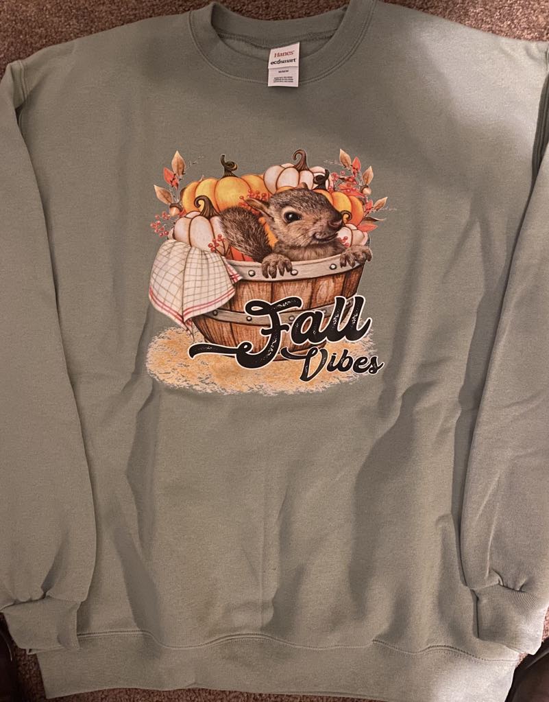 Fall Vibes Squirrel Sweatshirt